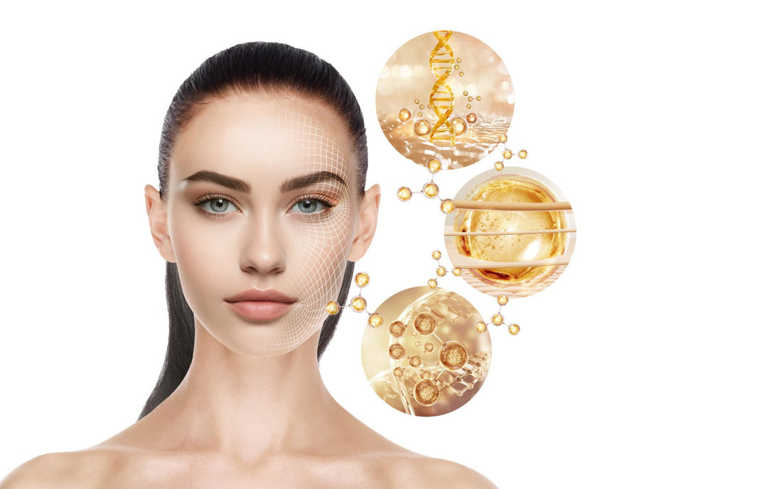 Understanding Collagen Types: Bovine vs Marine and How to Choose the Right One